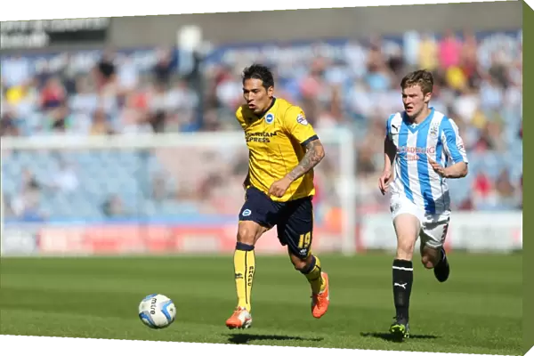 Brighton & Hove Albion vs. Huddersfield Town: 18 / 04 / 14 - Away Game, 2013-14 Season