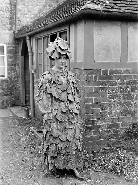 Cabbage leaf costume BB97_08307