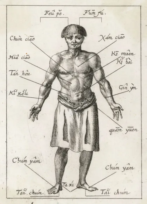 Framed Print : Print of 17th Century Acupuncture Diagram Framed Print : Print of 17th Century Acupuncture Diagram