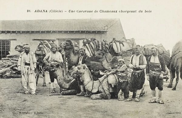 Adana, Turkey - Caravan of Camels