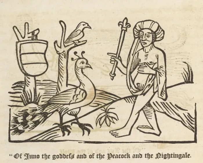 Framed Print : Aesop's Fables Print - Juno and Peacock Framed Print : Aesop's Fables Print - Juno and Peacock