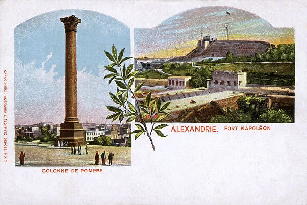 Alexandria, Egypt - Pompeys Column and Fort Napoleon