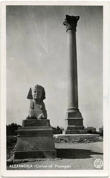 Alexandria, Egypt - Pompeys Column (Pillar) and Sphinx