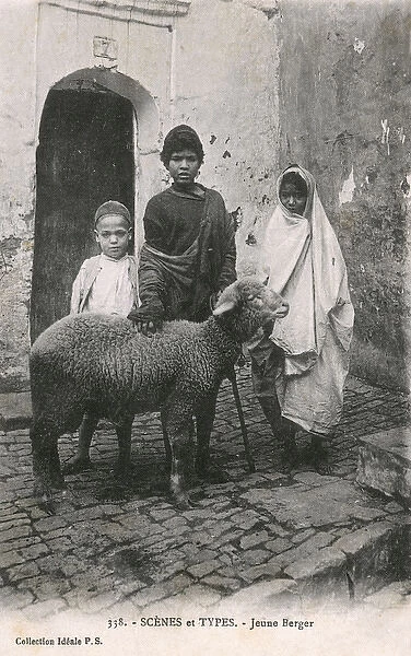 Algeria - North Africa - Young Shepherd with his sheep