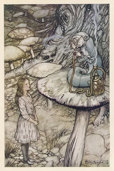 Alice & the Caterpillar