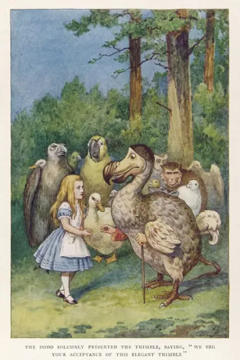 Framed Print : Alice and the Dodo Print - The Dodo presents a thimble Framed Print : Alice and the Dodo Print - The Dodo presents a thimble