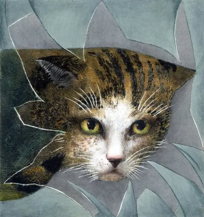 Framed Print : Cat Through Broken Window Print Framed Print : Cat Through Broken Window Print