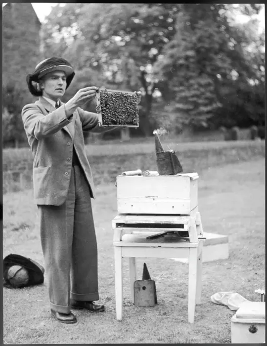 Framed Print : Print of The Apiarist examining frames with brood Framed Print : Print of The Apiarist examining frames with brood