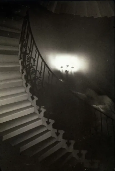 Framed Print : Apparition Print: Tulip Staircase Figure Framed Print : Apparition Print: Tulip Staircase Figure