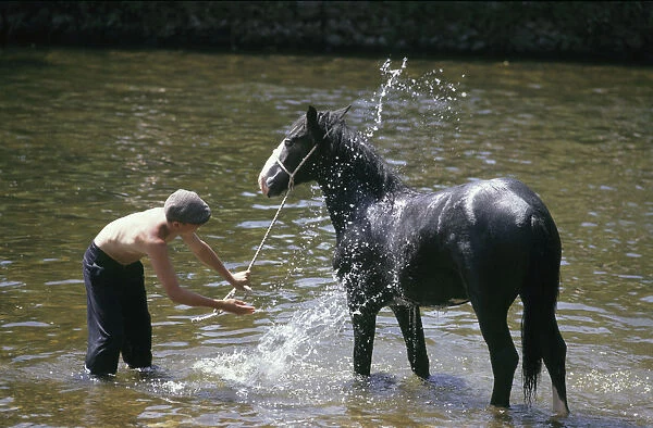 Appleby Horse Fair - horse wash