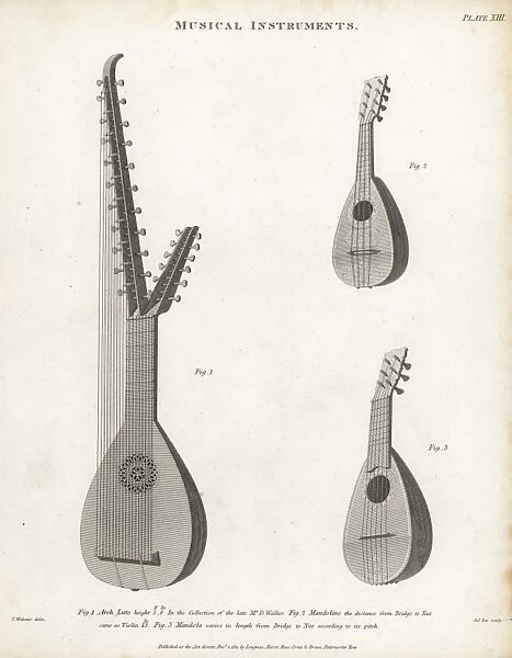 Arch lute, mandolin and mandola