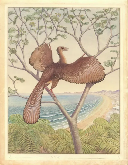Framed Print : Archaeopteryx Watercolour Print Framed Print : Archaeopteryx Watercolour Print