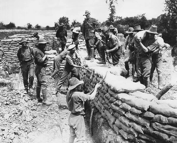 Australian troops building trenches, Fleurbaix, France, WW1