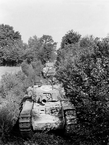 An Avre moving through close country
