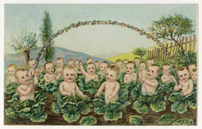 Framed Print : Cabbage Patch Babies Print Framed Print : Cabbage Patch Babies Print