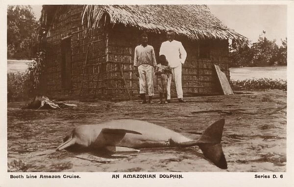 A beached Amazon River Dolphin