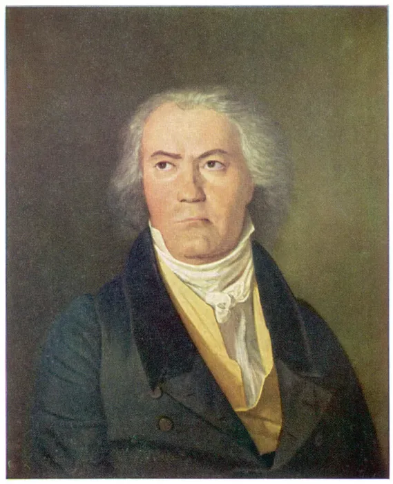 Framed Print : Ludwig Van Beethoven Portrait Print Framed Print : Ludwig Van Beethoven Portrait Print