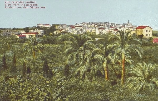 Beirut, Lebanon - View from the Gardens