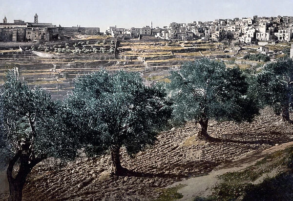 Bethlehem, Palestine, circa 1890s