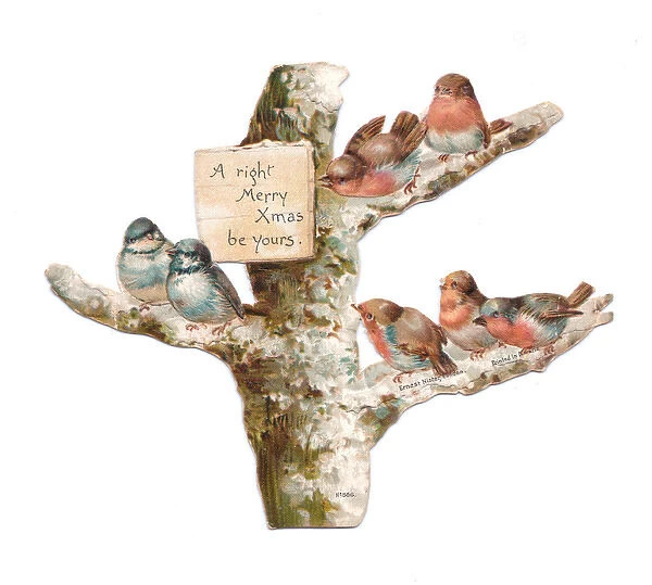 Birds perched in a tree on a cutout Christmas card