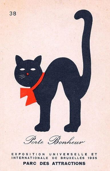 Black cat with red ribbon on a Belgian postcard