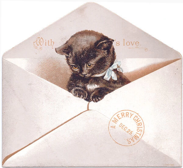 Black kitten in an envelope on a Christmas card