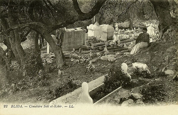 Blida, Algeria - the cemetery of Sidi el-Kebir