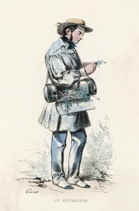 Framed Print : Botanist at Work Print, 1850 Engraving Framed Print : Botanist at Work Print, 1850 Engraving