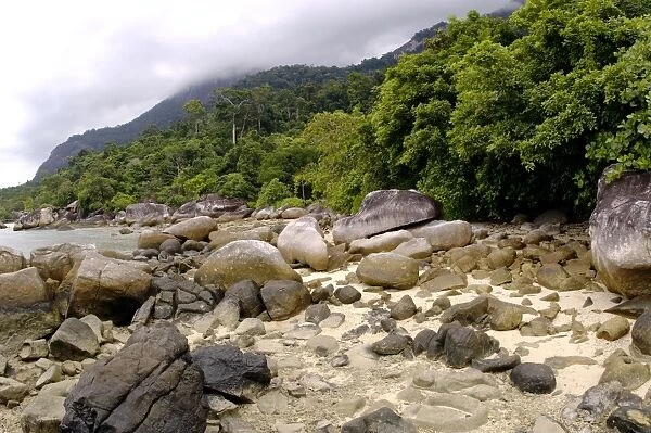 Boulders on sand beach and rainforest on slopes