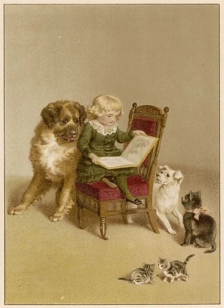 Boy with Dogs & Cats