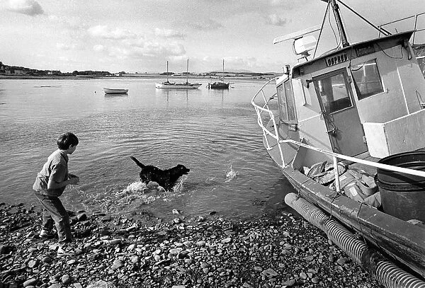 A boy plays with a black dog in the harbour at Garlieston
