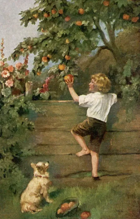 Framed Print : Boy Scrumping Apples Print Framed Print : Boy Scrumping Apples Print