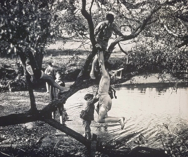 Boys climbing a tree and paddling
