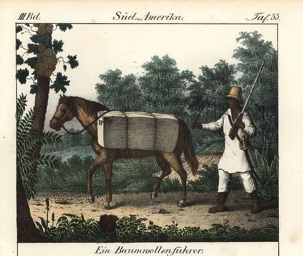 Brazilian farmer riding a horse loaded with