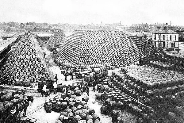Brewing Industry Cooperage Yard early 1900s