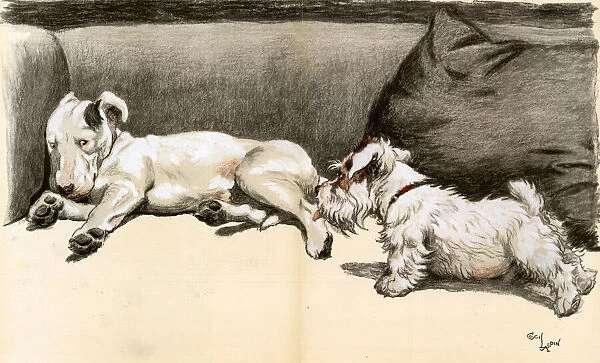 The Bully by Cecil Aldin