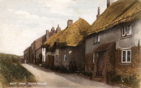 Butt Lane, Bere Regis, Dorset