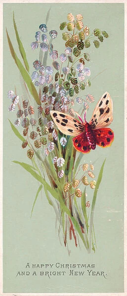 Butterfly and flowers on a Christmas and New Year card