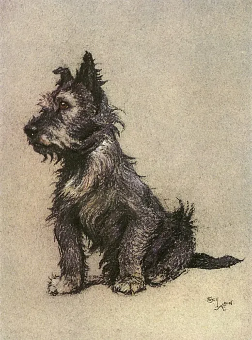 Framed Print : Cairn Terrier Print by E.H. Shepard, 1928 Framed Print : Cairn Terrier Print by E.H. Shepard, 1928