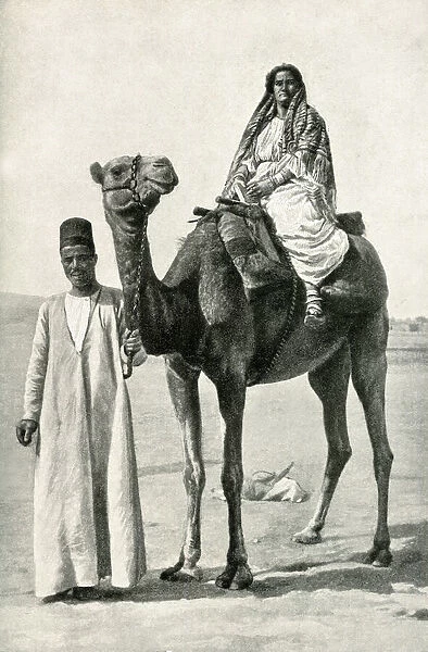 Camel in Nubian Desert, South Sudan, East Central Africa