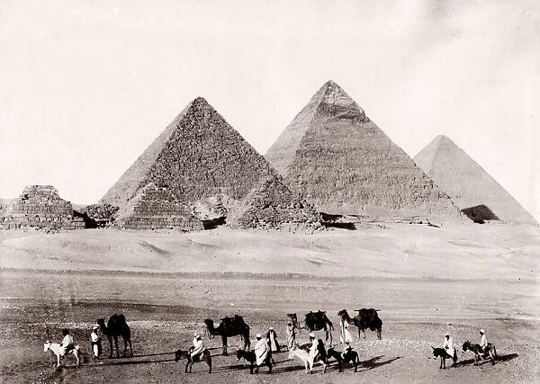 Camel train pyramids at Giza, Cairo, Egypt