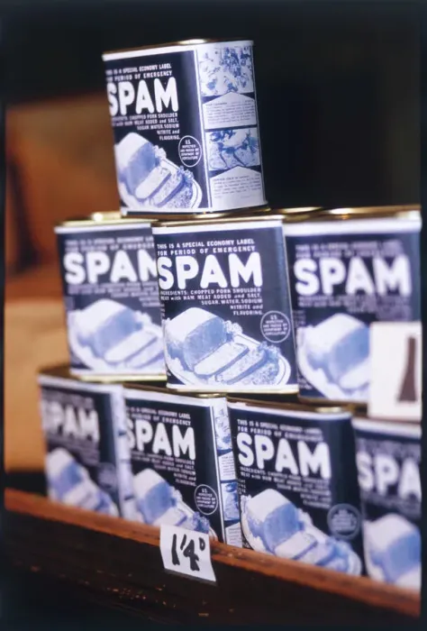 Framed Print : Cans of Spam 1940s Print: A Single Can on a Grocery Shelf Framed Print : Cans of Spam 1940s Print: A Single Can on a Grocery Shelf