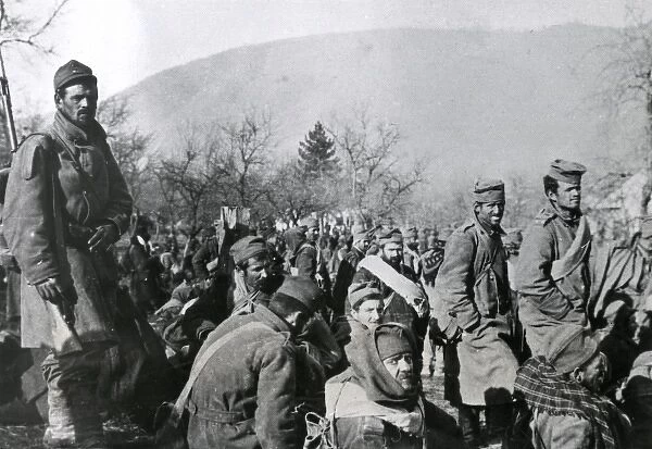 Captured Serbian troops near Brus, Serbia, WW1