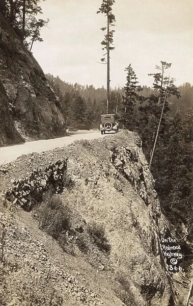 Car on the Redwood Highway, Humboldt County, California, USA