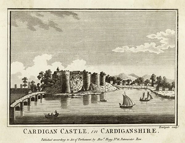 Cardigan Castle  /  Wales