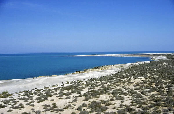 Caspian Sea Shore - sand desert with scarce vegetation