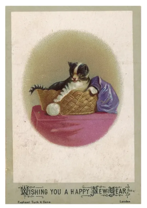 Framed Print : Cat and Ball of Wool Print Framed Print : Cat and Ball of Wool Print