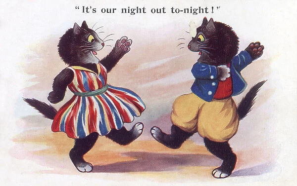 Two cats dancing the night away