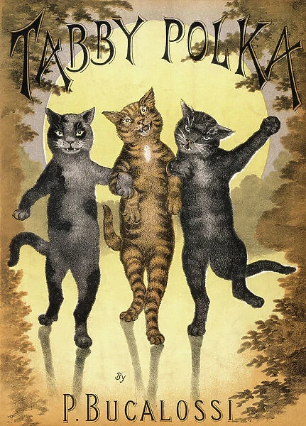 Cats Dancing a Polka