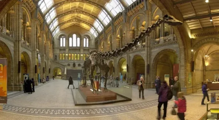 Framed Print : Central Hall View of Diplodocus, Print Framed Print : Central Hall View of Diplodocus, Print